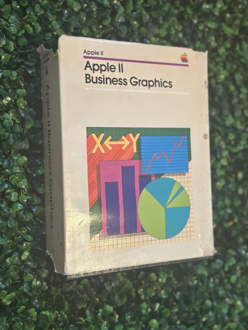 Apple II Business Graphics 1981 Complete Boxed Set Vintage Apple Software